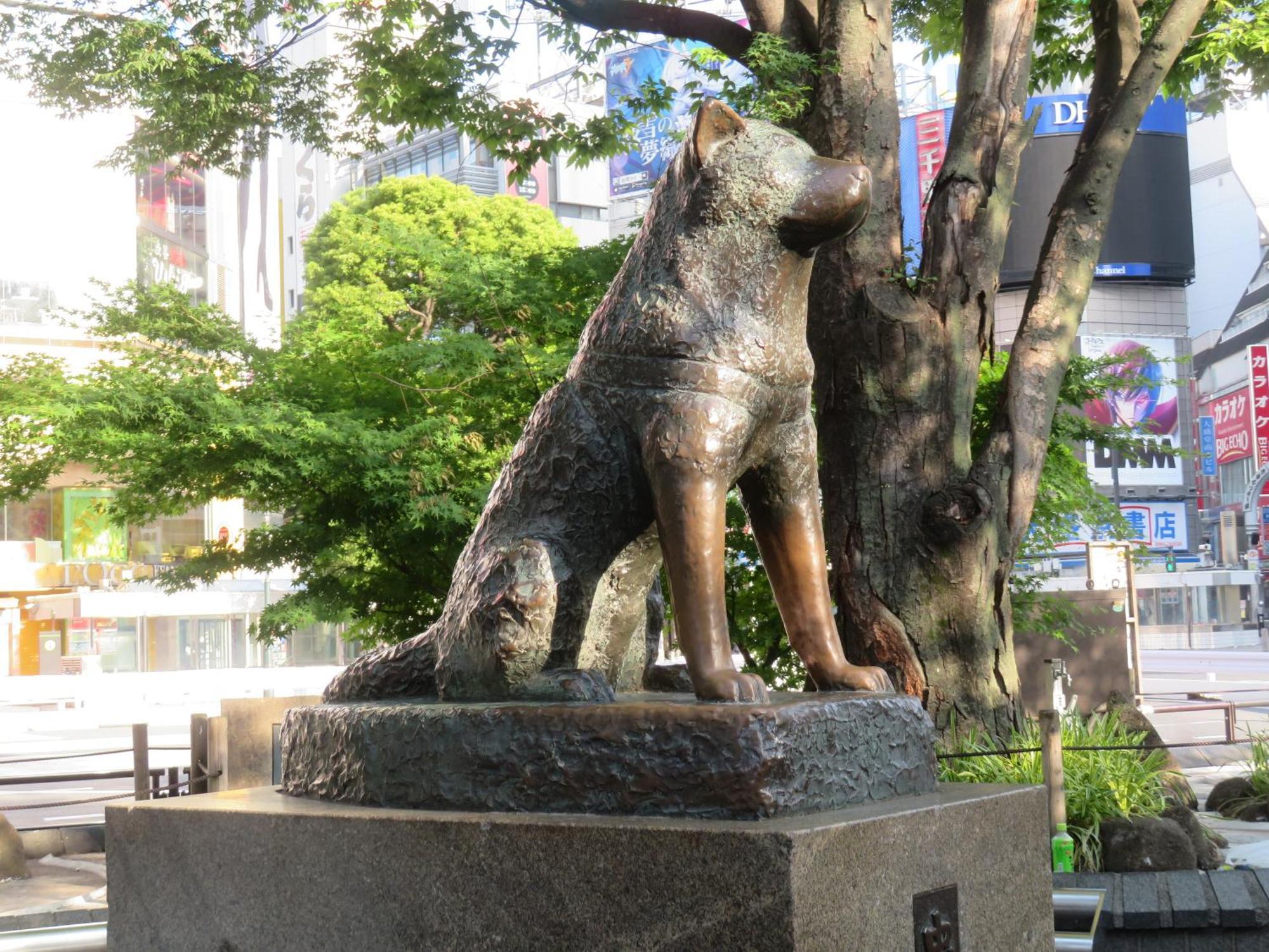 Apa Hotel Shibuya Dogenzakaue Tokio Buitenkant foto